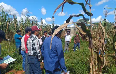 Crédito accesible para ganaderos en Coahuila, ¿cómo funciona la incitativa? 