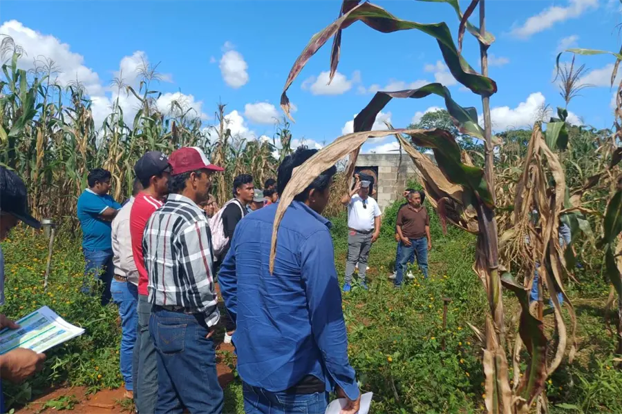 Crédito accesible para ganaderos en Coahuila, ¿cómo funciona la incitativa?