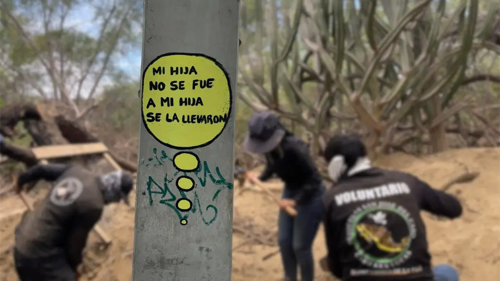 Desapariciones en Los Cabos pasan de 200 a 500 en 2025, alerta colectivo
