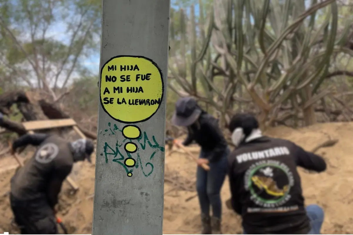 Foto: Búsqueda de San José del Cabo