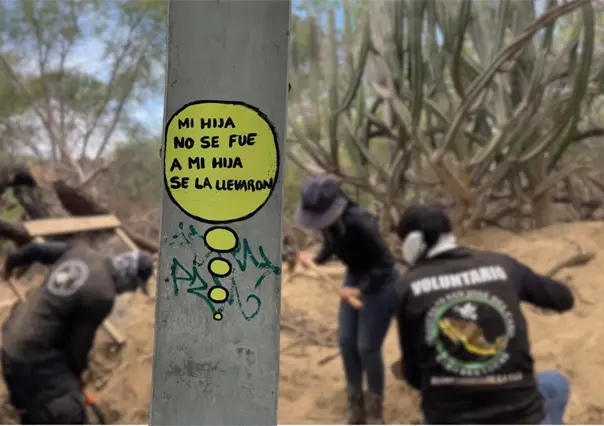 Desapariciones en Los Cabos pasan de 200 a 500 en 2025, alerta colectivo