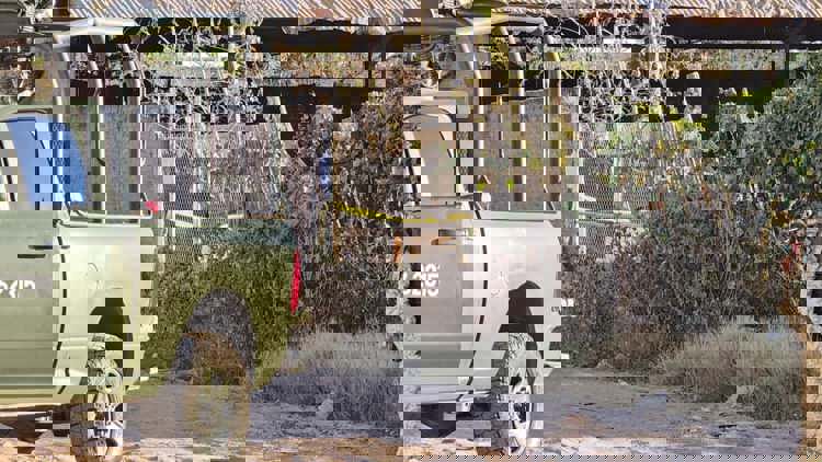 imagen-cuerpo imagen-cuerpo