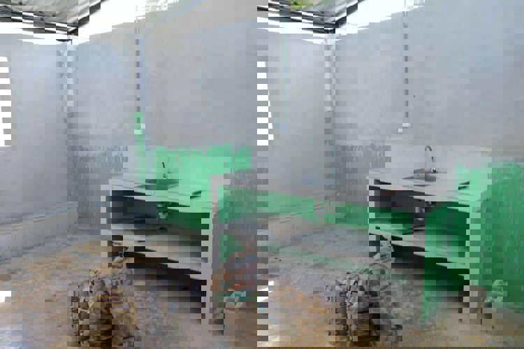 imagen-cuerpo imagen-cuerpo