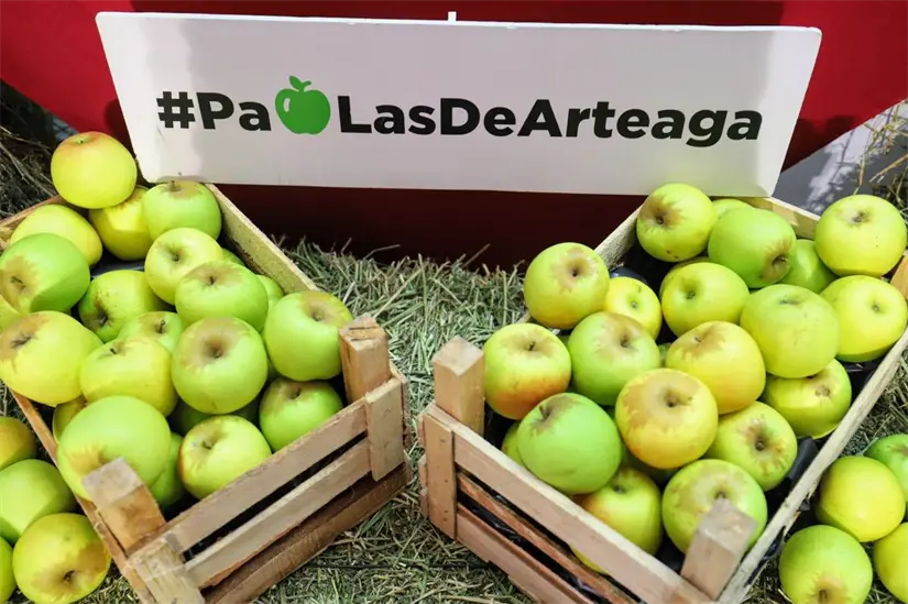 Muestra de manzanas cosechadas en Arteaga / Foto: Presidencia Municipal de Arteaga 