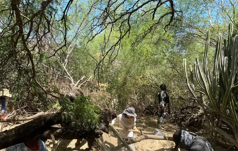 Foto: Búsqueda de San José del Cabo
