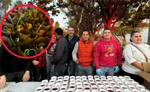 Feria Navideña 2025: los 4 alimentos y bebidas GRATUITOS que suelen ofrecer en este lugar Feria Navideña 2025: los 4 alimentos y bebidas GRATUITOS que suelen ofrecer en este lugar