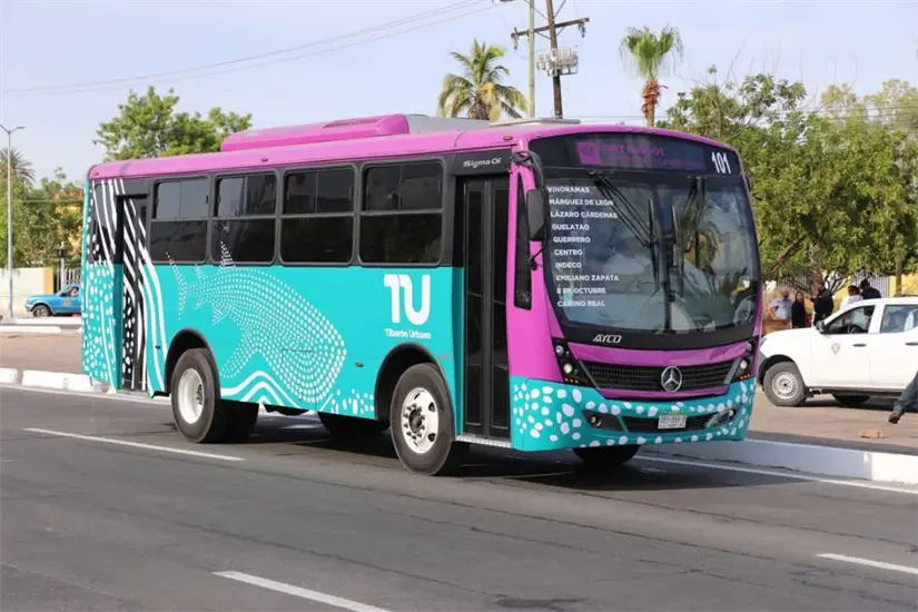 imagen recuadro Foto: Gobierno de BCS