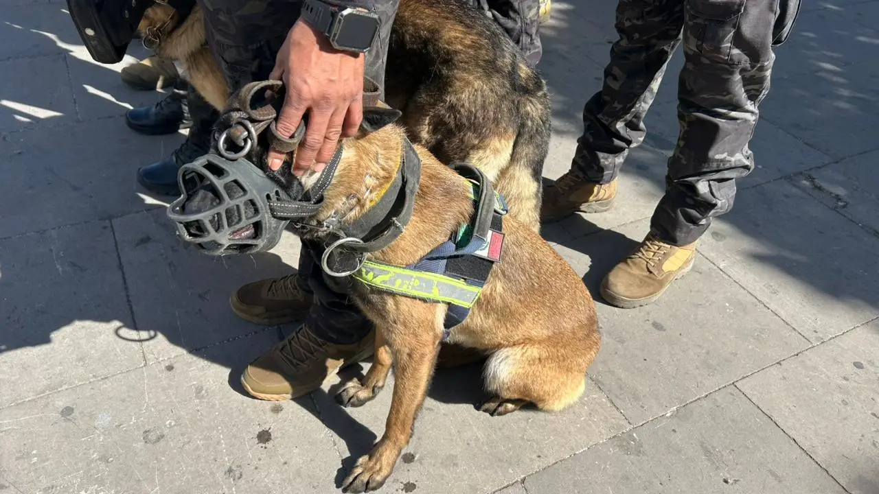 FOTOS | Buen Fin 2025: arranca operativo de seguridad con énfasis en estas zonas