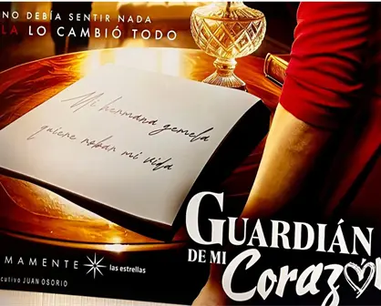 Silvia Navarro volverá muy pronto a las telenovelas