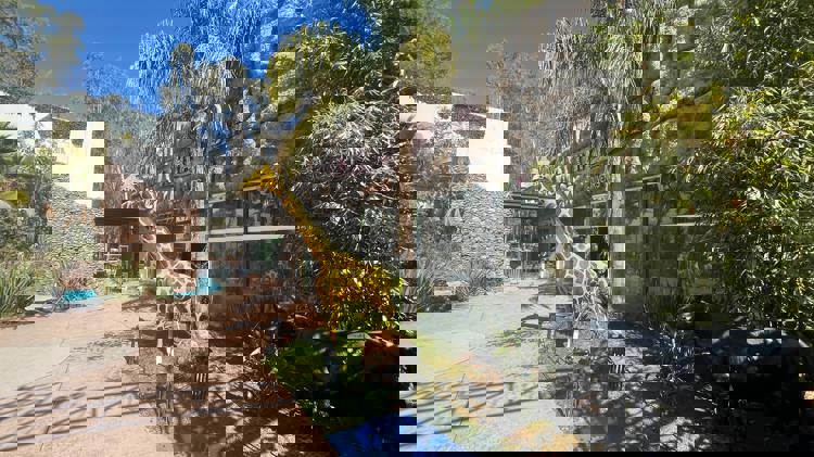 imagen-cuerpo imagen-cuerpo