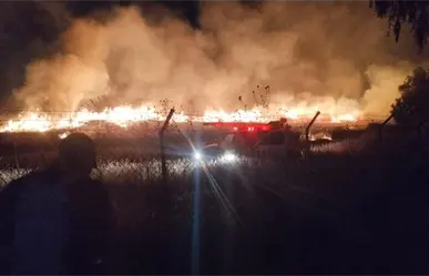 Zona arqueológica de Teotihuacán sufre incendio: ¿qué tan cerca estuvo el fuego de las pirámides?