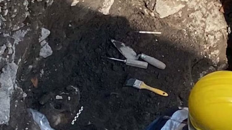 imagen-cuerpo imagen-cuerpo