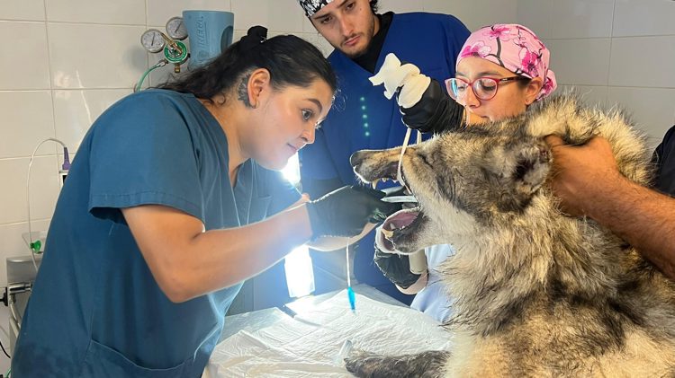 imagen-cuerpo imagen-cuerpo