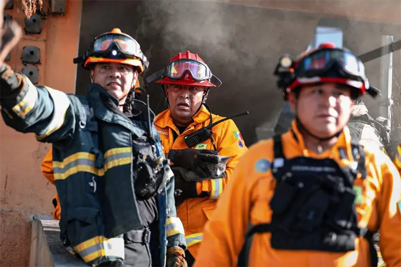 Rescatistas con mascotas en incendio. Foto: Facebook Protección Civil de Nuevo León