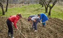Ambientalistas de Madero, Michoacán enfrentan amenazas y ataques del CJNG Ambientalistas de Madero, Michoacán enfrentan amenazas y ataques del CJNG