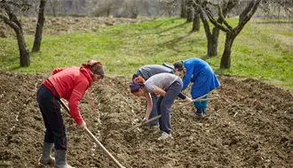 Ambientalistas de Madero, Michoacán enfrentan amenazas y ataques del CJNG