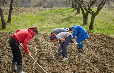 Ambientalistas de Madero, Michoacán enfrentan amenazas y ataques del CJNG