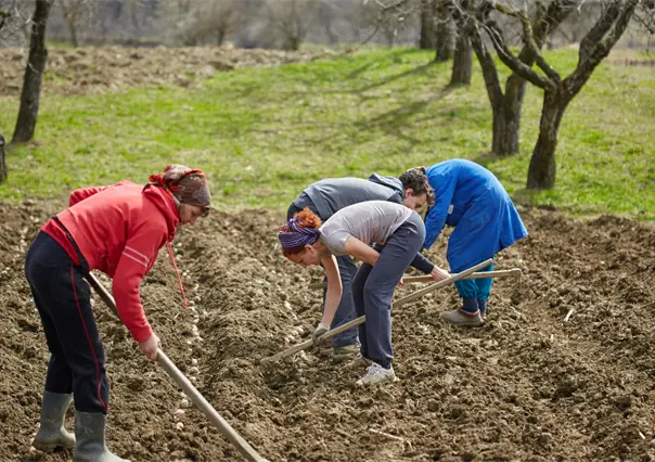 Ambientalistas de Madero, Michoacán enfrentan amenazas y ataques del CJNG