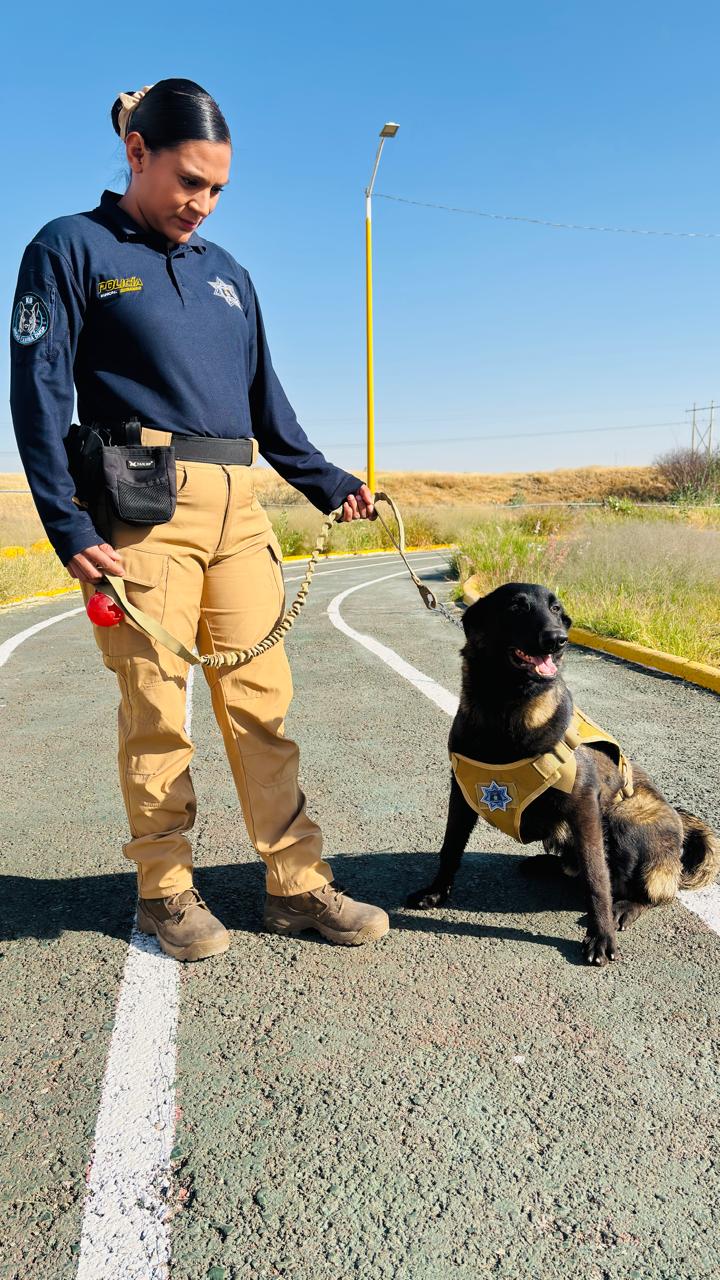 imagen-cuerpo imagen-cuerpo