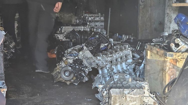 imagen-cuerpo imagen-cuerpo