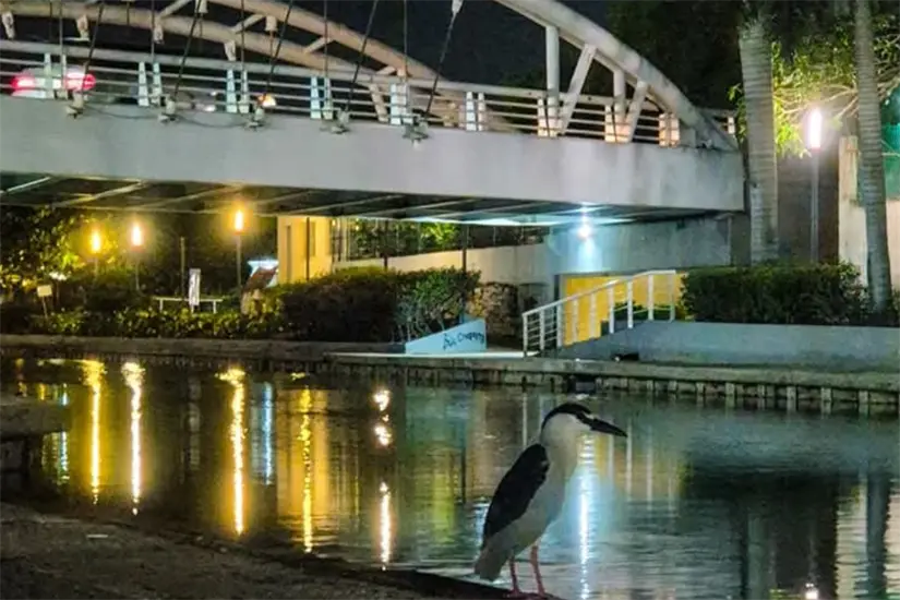 Canal de la cortadura destino turístico de Tampico Tamaulipas Foto: Tampico Hermoso