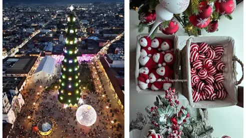 Feria Nacional del Árbol y la Esfera 2025: Dónde, cuándo y todo lo que tienes que saber Feria Nacional del Árbol y la Esfera 2025: Dónde, cuándo y todo lo que tienes que saber