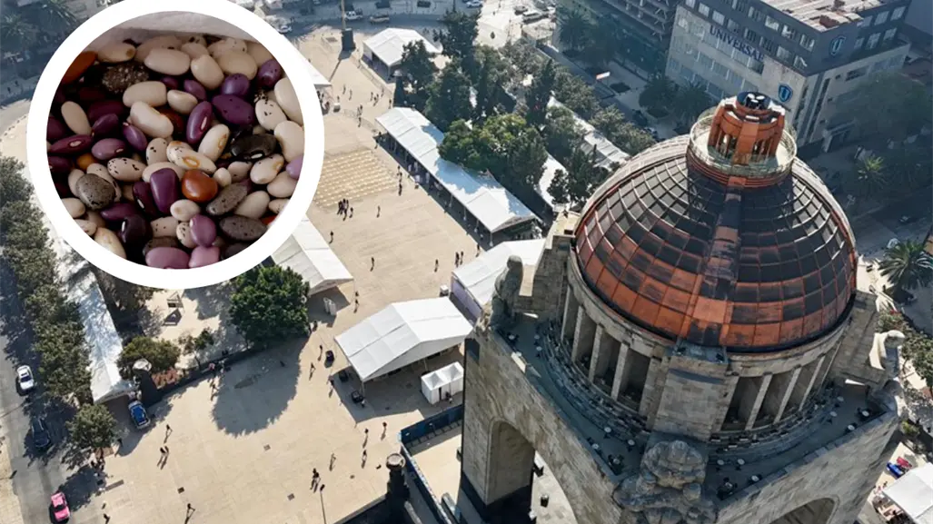 Frijol a 30 pesos el kilo en CDMX: así será la feria que todos quieren aprovechar