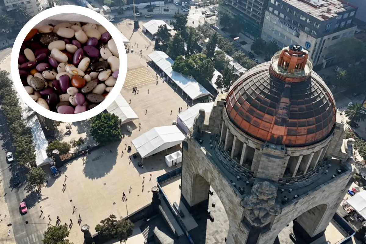 Se lleva a cabo la Feria del Frijol en la CDMX. Foto: X @CedaGeneral