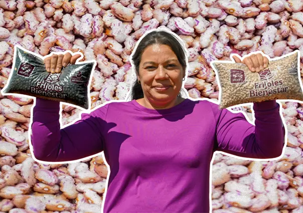 Frijol Bienestar: ¿cuál será su precio y dónde conseguirlo?