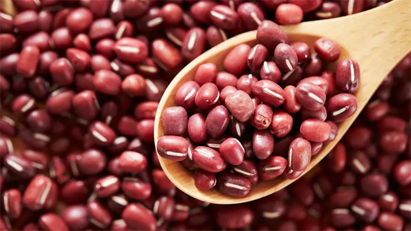 ¿De dónde proviene el frijol y cuál será su impacto social? Foto: Canva.