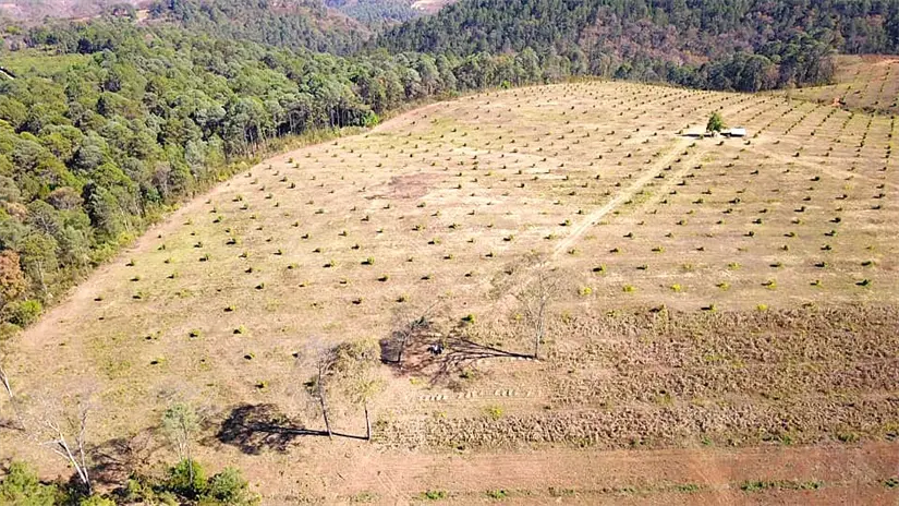 imagen recuadro Foto: X (@laminuta)