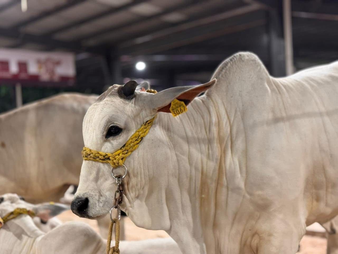 imagen-cuerpo imagen-cuerpo