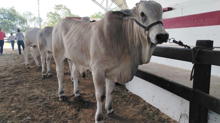 imagen-cuerpo imagen-cuerpo