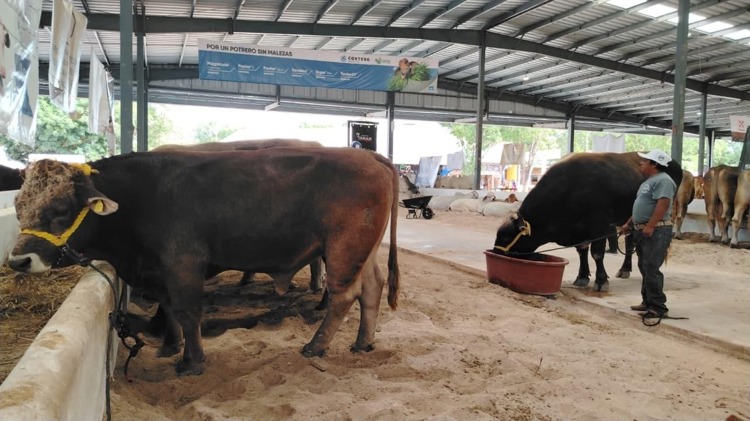 imagen-cuerpo imagen-cuerpo