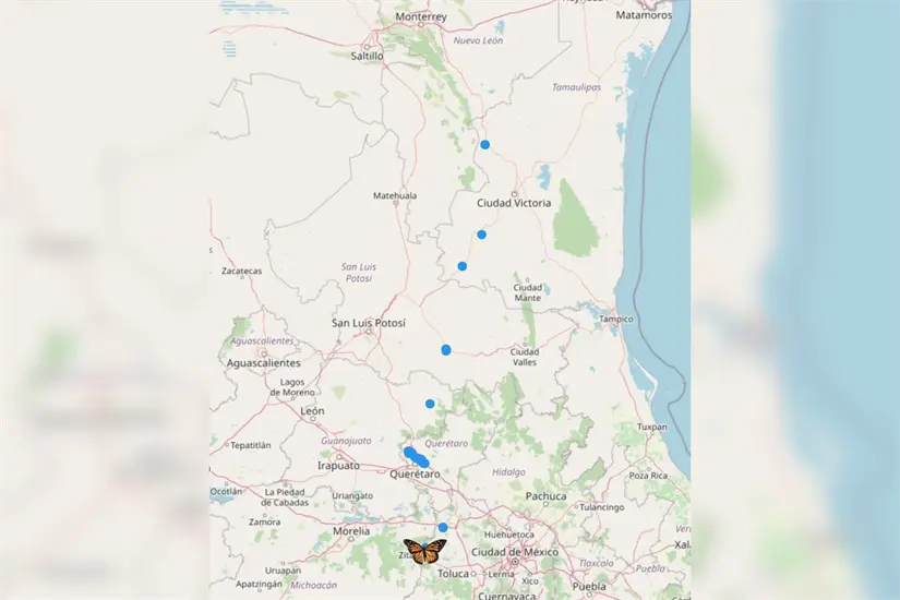 Recorrido de la mariposa Monarca por México. Foto: México Ruta Mágica