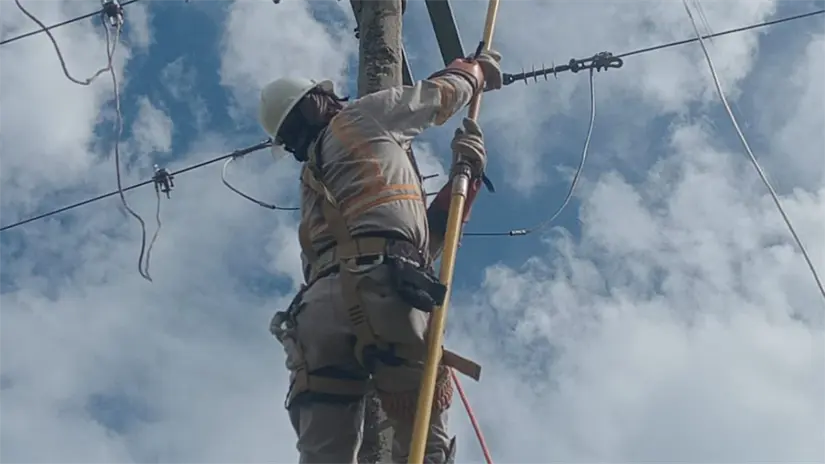 imagen recuadro CFE, vía X