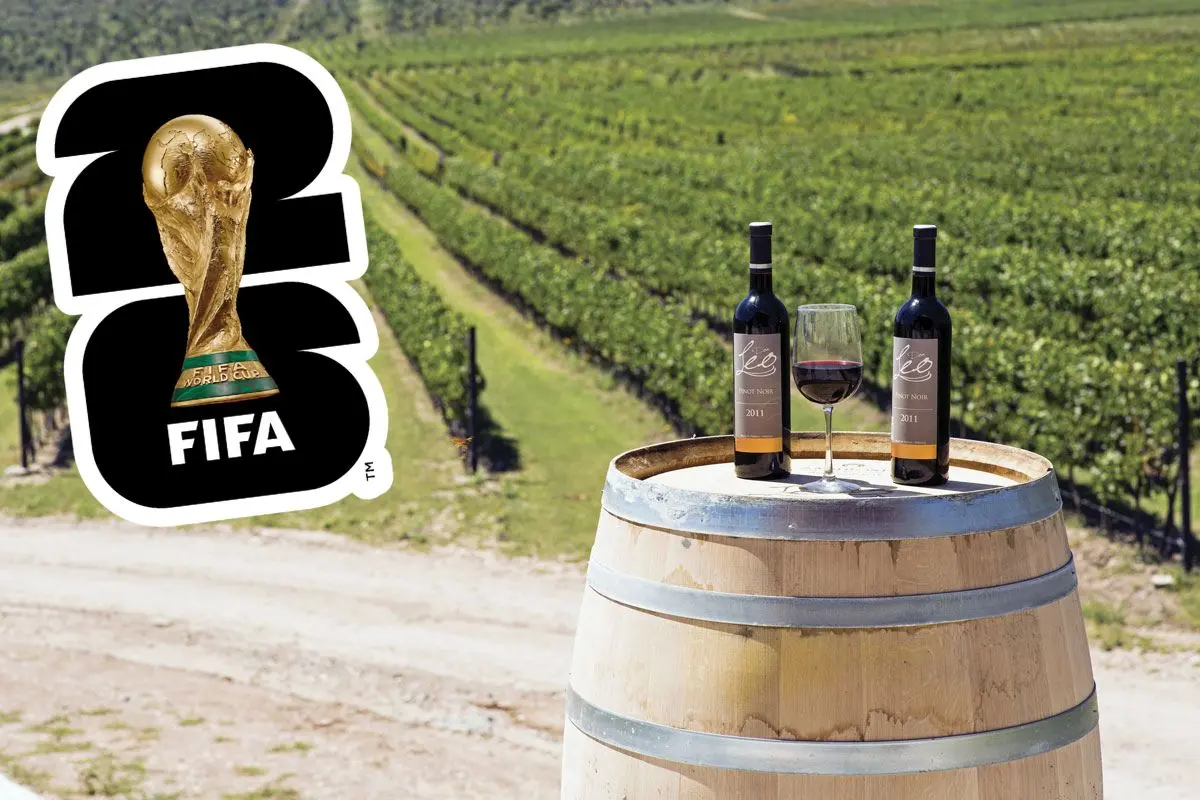 Viñedos en Parras de la Fuente ejemplificando el turismo planeado para el Mundial 2026 / Foto: México Desconocido | FIFA | Canva