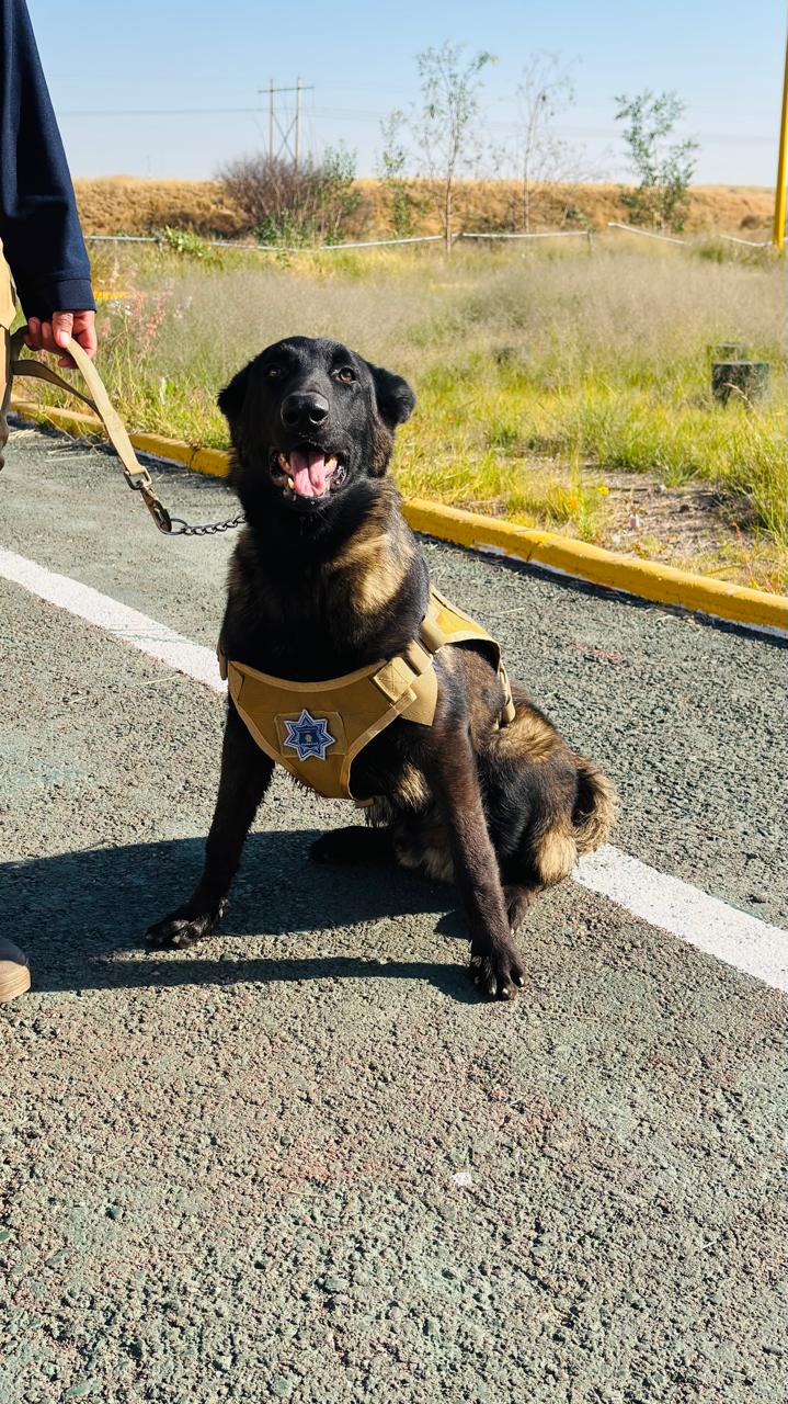 imagen-cuerpo imagen-cuerpo