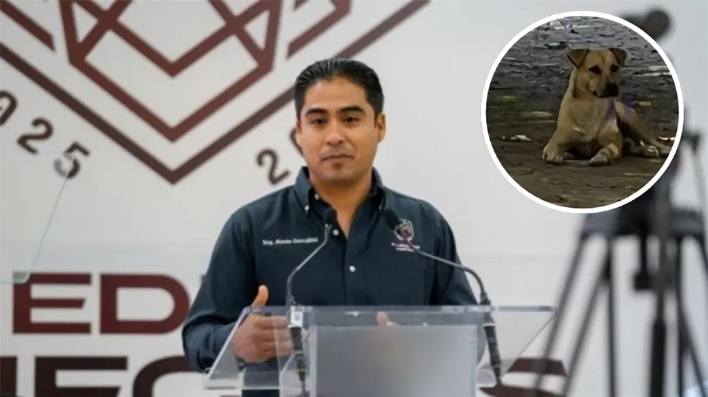 Piedras Negras: Perro que atacó a niño será resguardado, ¿se aplicara la eutanasia?