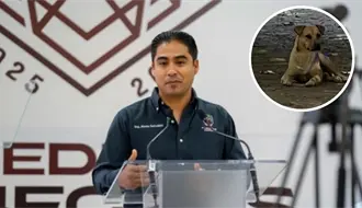 Piedras Negras: Perro que atacó a niño será resguardado, ¿se aplicara la eutanasia?