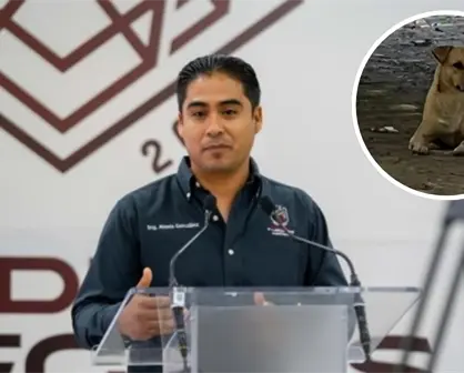 Piedras Negras: Perro que atacó a niño será resguardado, ¿se aplicara la eutanasia?