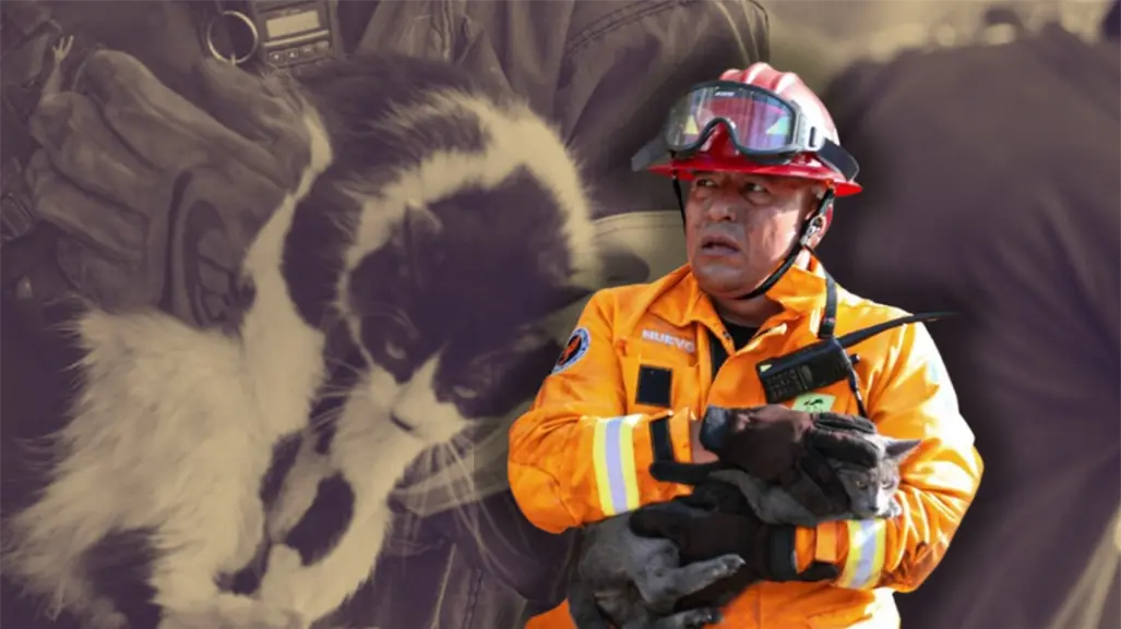 ¡Héroes sin capa! Rescatan a cinco michis y un lomito entre humo y llamas en Valle de Infonavit