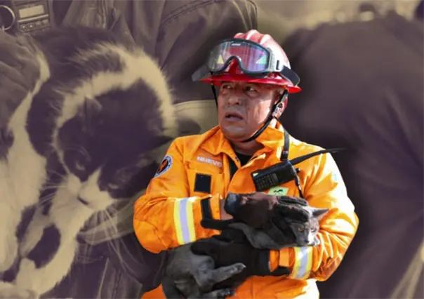 ¡Héroes sin capa! Rescatan a cinco michis y un lomito entre humo y llamas en Valle de Infonavit