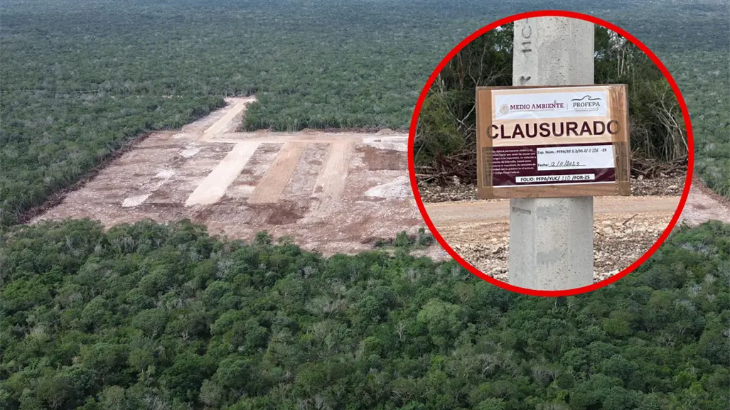 Clausura PROFEPA obras de Crío en el sitio maya Tzemé en Kinchil tras daños ambientales y arqueológicos
