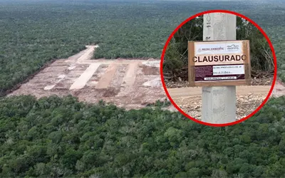 Clausura PROFEPA obras de Crío en el sitio maya Tzemé en Kinchil tras daños ambientales y arqueológicos Clausura PROFEPA obras de Crío en el sitio maya Tzemé en Kinchil tras daños ambientales y arqueológicos