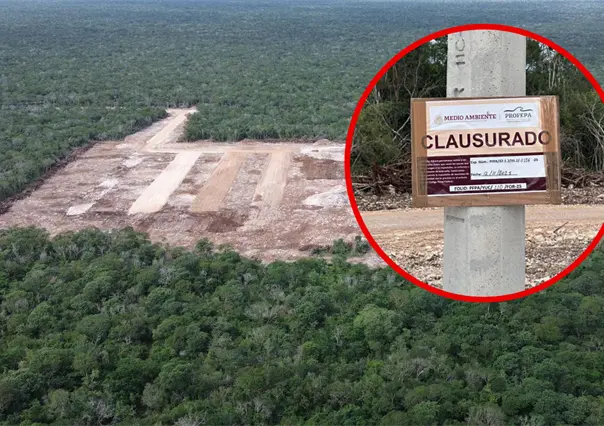 Clausura PROFEPA obras de Crío en el sitio maya Tzemé en Kinchil tras daños ambientales y arqueológicos