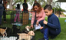Si vives en Nuevo Laredo aquí puedes adoptar una mascota de forma gratuita Si vives en Nuevo Laredo aquí puedes adoptar una mascota de forma gratuita