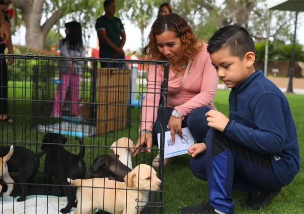 Si vives en Nuevo Laredo aquí puedes adoptar una mascota de forma gratuita