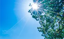 Clima en Tamaulipas: así estará el tiempo este viernes 14 de noviembre