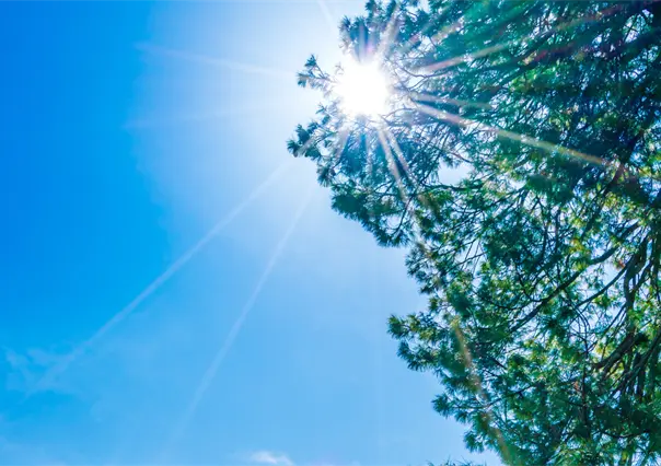 Clima en Tamaulipas: así estará el tiempo este viernes 14 de noviembre